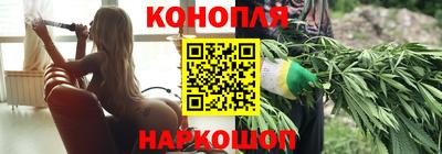сатива Тверь