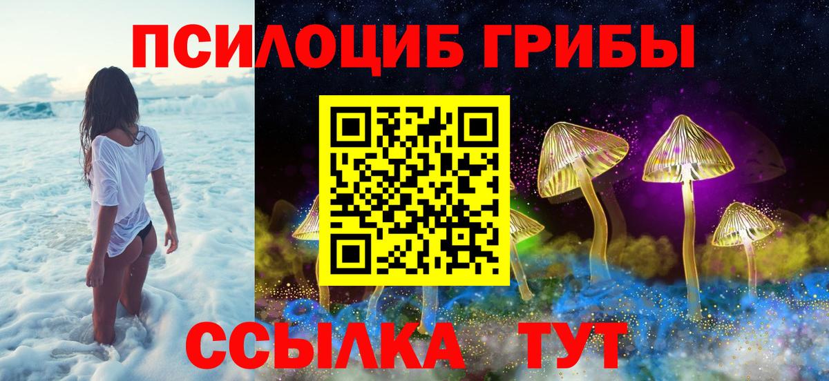 Галлюциногенные грибы MAGIC MUSHROOMS  Вход с VPN  Галлюциногенные грибы Cubensis  Аргун 